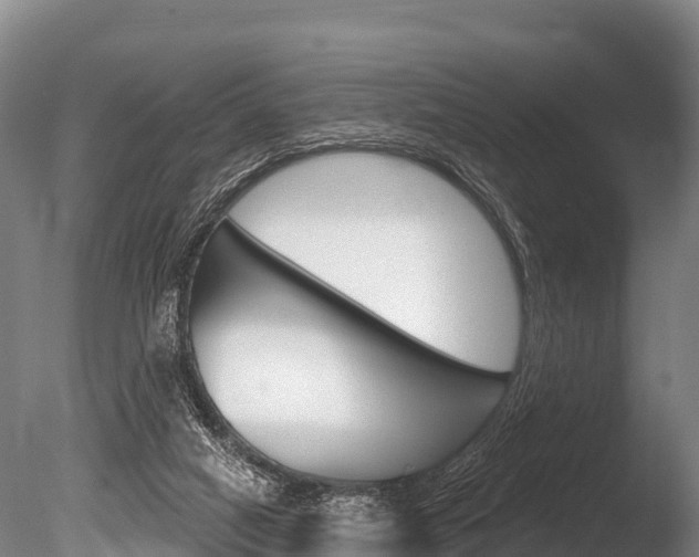 X0000086070066200703231024