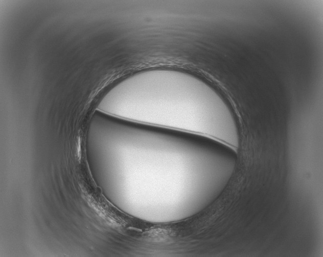 X0000086070067200703231024