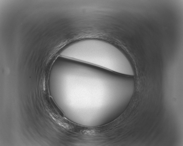 X0000086070068200703231024