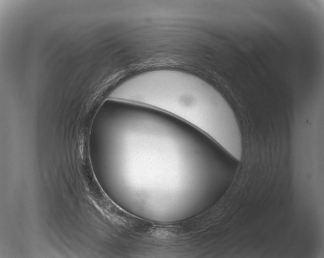 X0000086070072200703231024