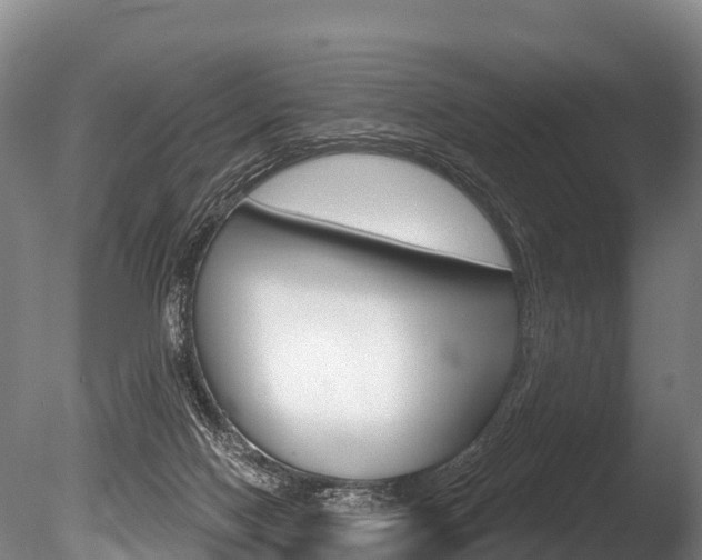 X0000086070074200703231025