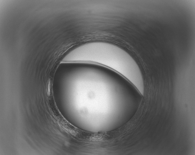 X0000086070076200703231025