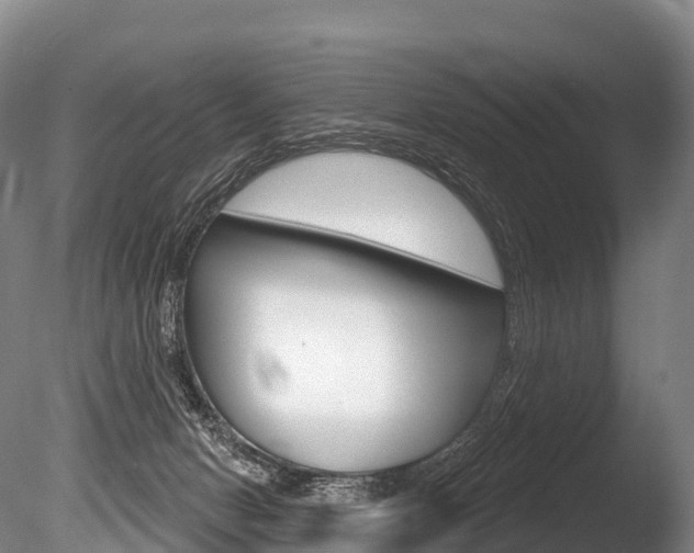 X0000086070078200703231025