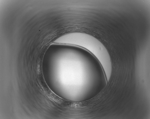 X0000086070080200703231025