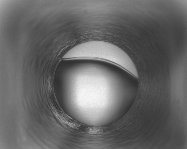 X0000086070088200703231025