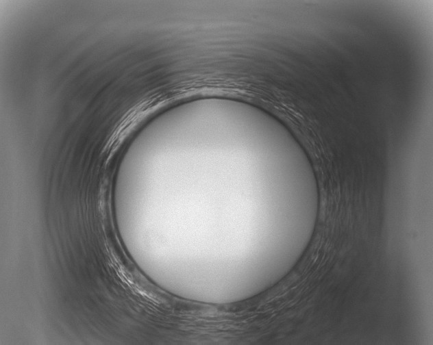 X0000086070098200703231024