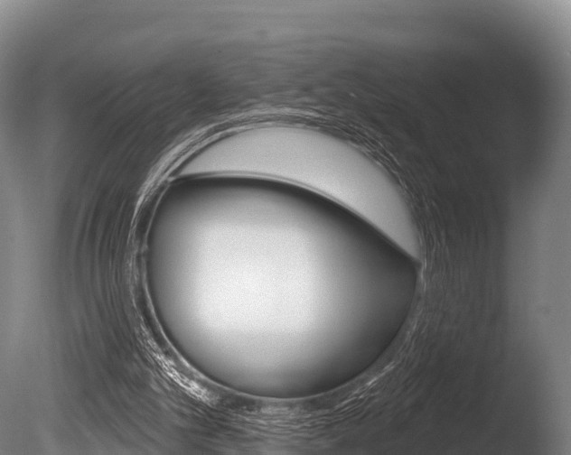 X0000086070101200703231024
