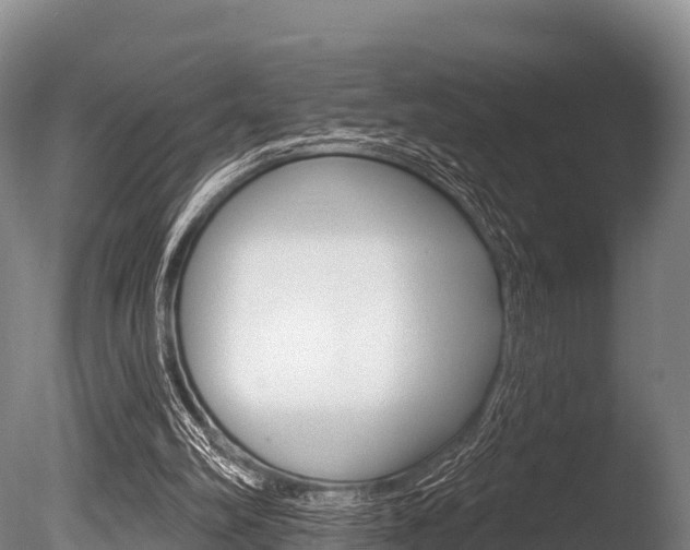 X0000086070102200703231024