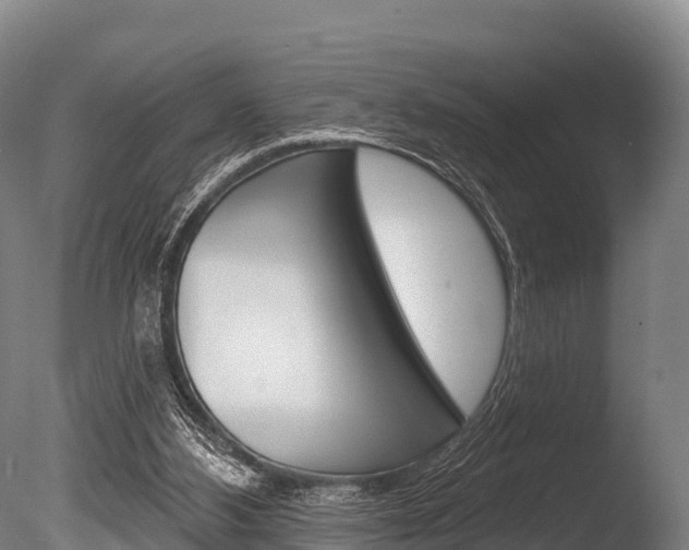 X0000086070108200703231024