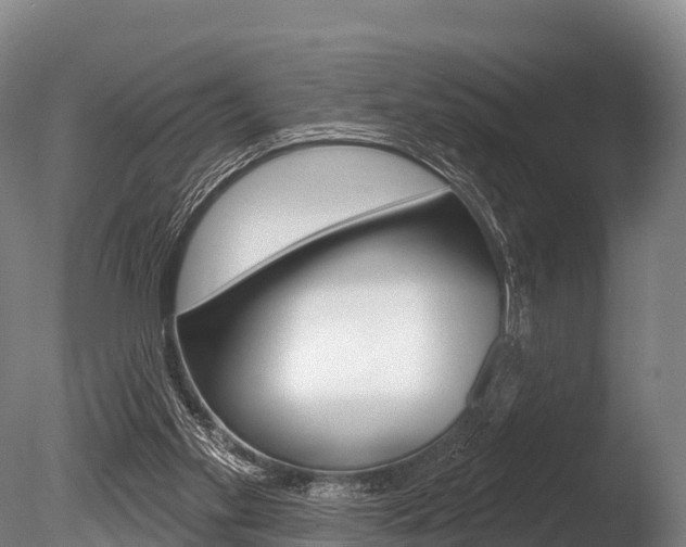 X0000086070109200703231024