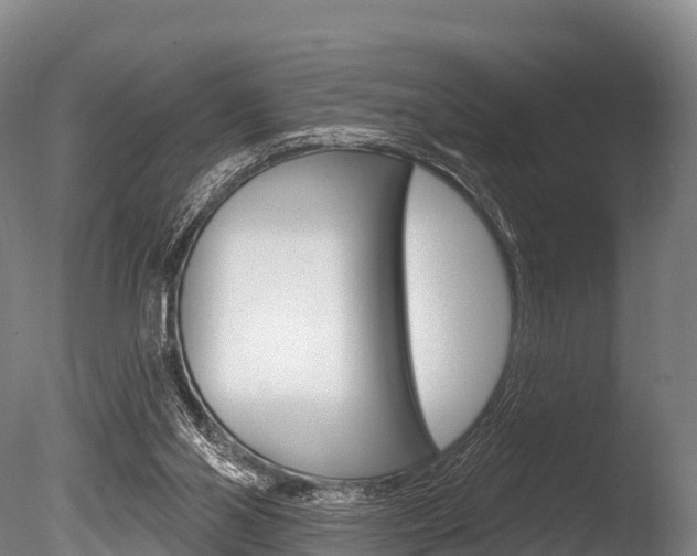 X0000086070110200703231024