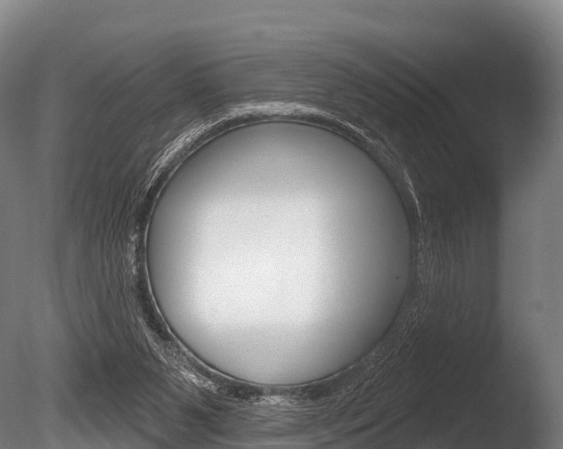 X0000086070111200703231024