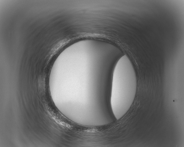 X0000086070112200703231024