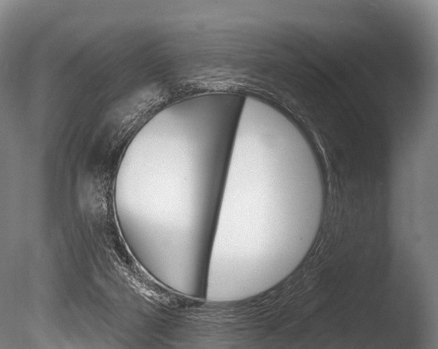 X0000086070114200703231024