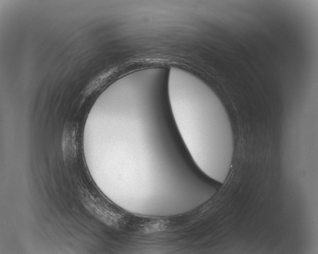 X0000086070116200703231024