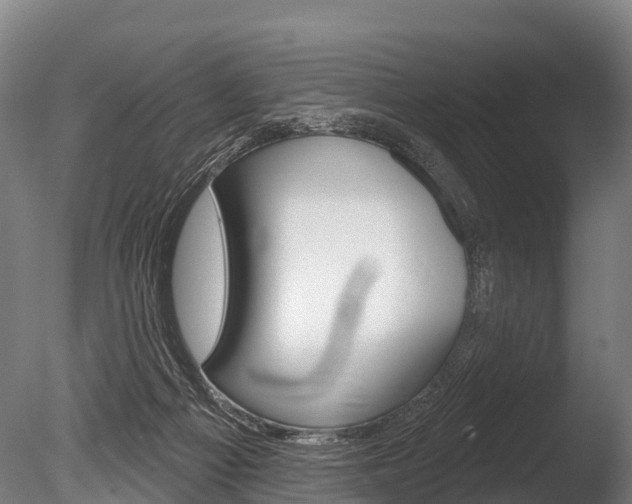 X0000086070121200703231024