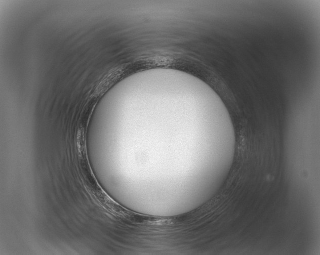 X0000086070122200703231024