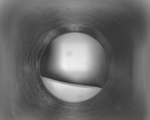 X0000086070125200703231024