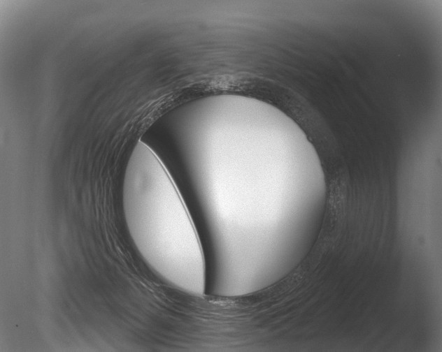 X0000086070127200703231024