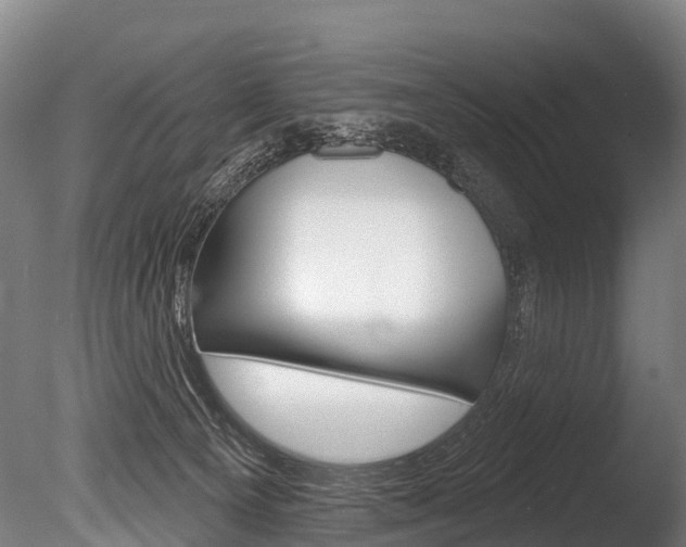 X0000086070129200703231024