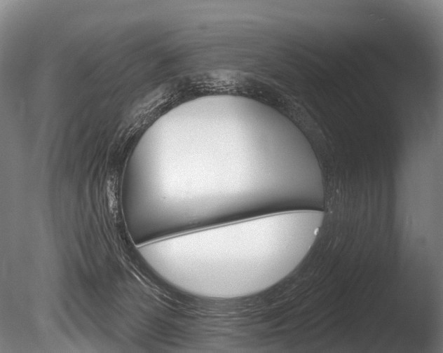 X0000086070131200703231023