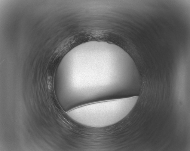 X0000086070135200703231023