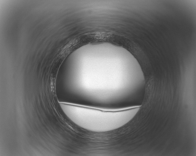 X0000086070137200703231023