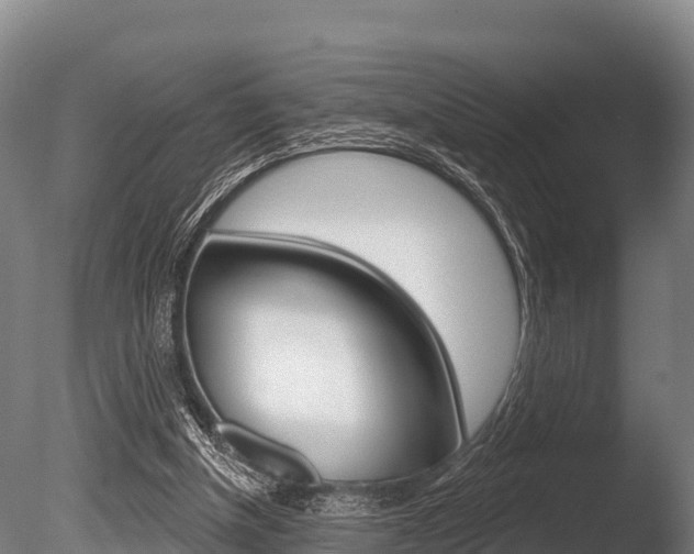 X0000086070154200703231023