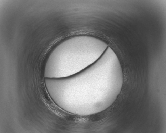 X0000086070163200703231023
