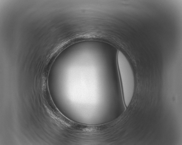 X0000086070164200703231023