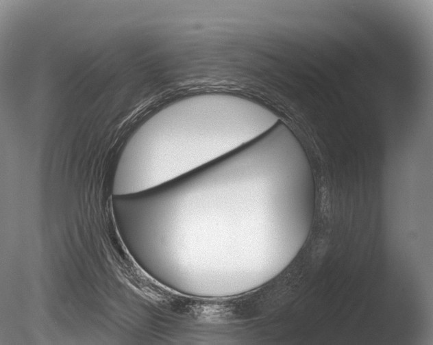 X0000086070165200703231023