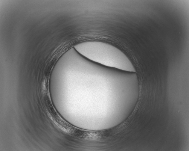 X0000086070166200703231023