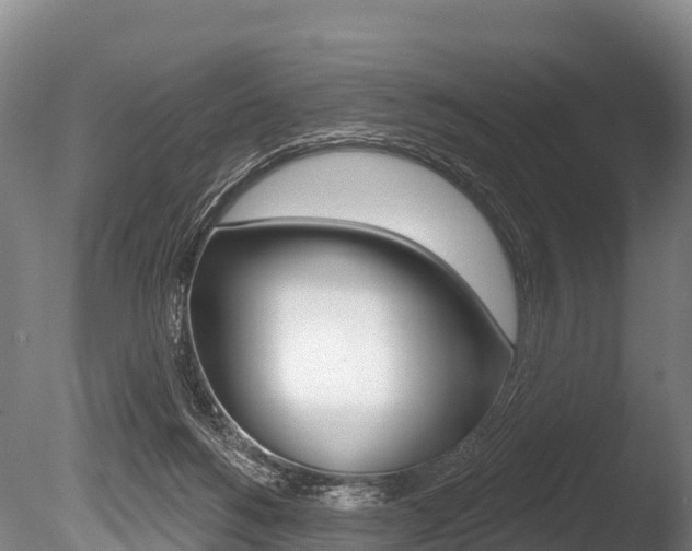 X0000086070168200703231023