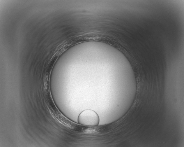 X0000086070171200703231023