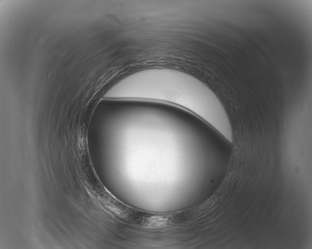 X0000086070176200703231023