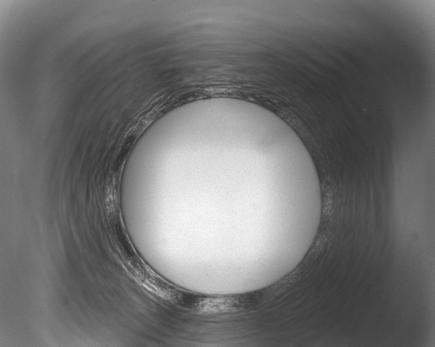 X0000086070179200703231023