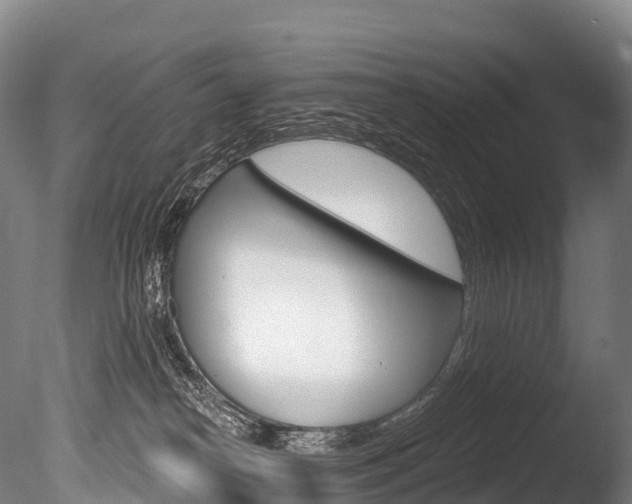 X0000086070182200703231023