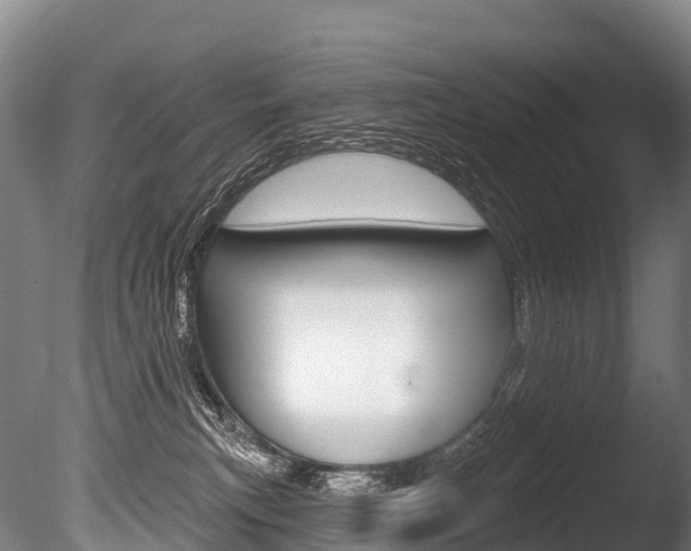 X0000086070183200703231023