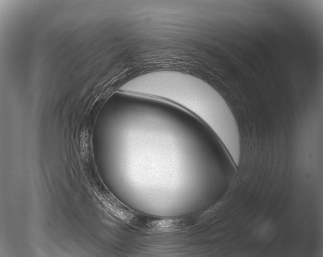 X0000086070184200703231023