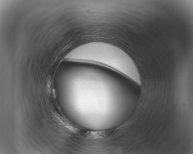 X0000086070188200703231023