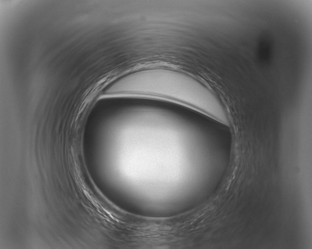 X0000086070193200703231022