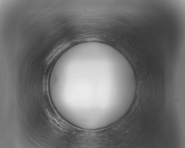 X0000086070194200703231022