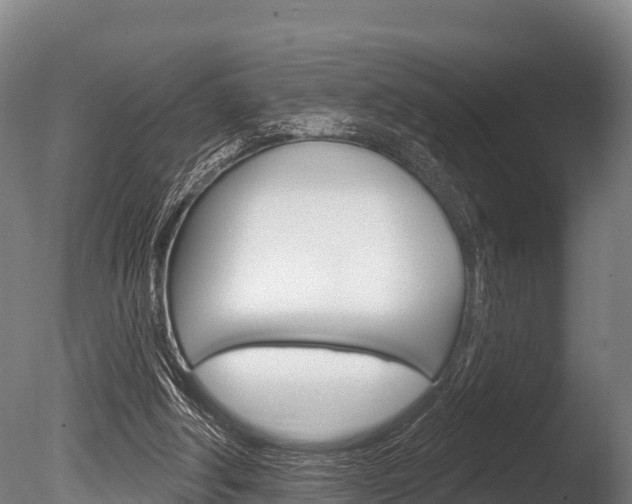 X0000086070202200703231022