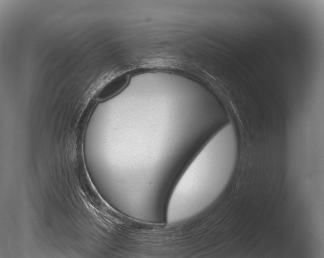 X0000086070204200703231022