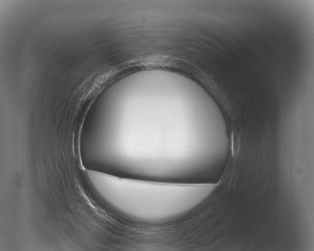 X0000086070205200703231022