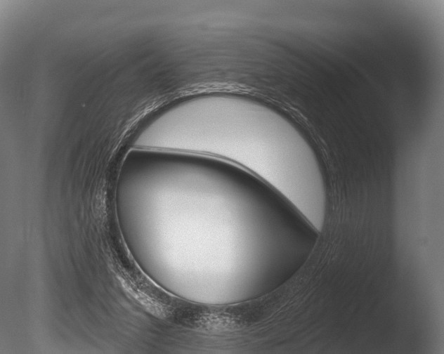 X0000086070207200703231022