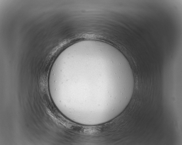 X0000086070208200703231022