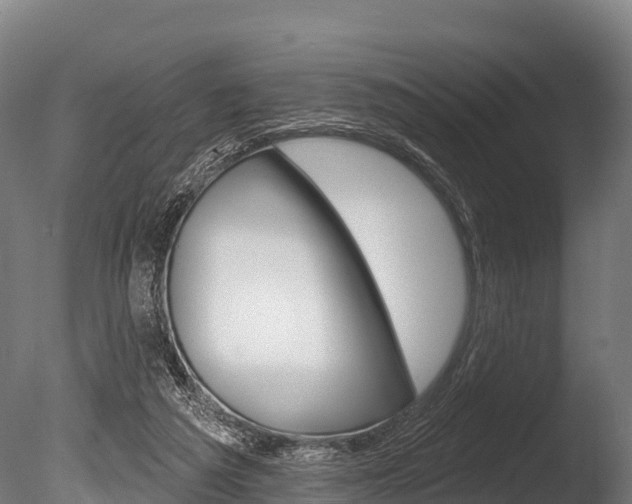 X0000086070209200703231022