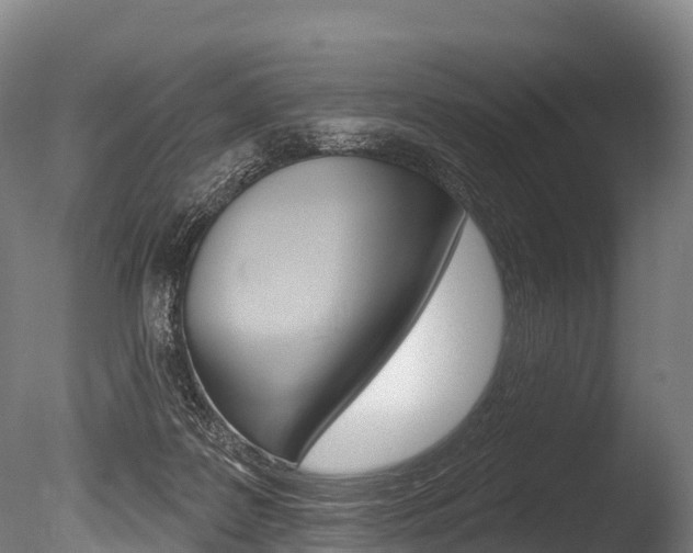 X0000086070219200703231022