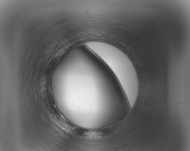 X0000086070221200703231022